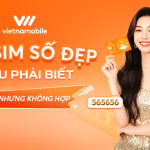 Mua Sim Số Đẹp: 7 Điều Phải Biết Trước Khi Chọn Số Tránh “Mua Số Đẹp Nhưng Không Hợp”