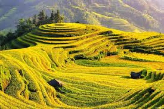 Don’t Buy Expensive Vietnam Tourist SIMs Anymore! Here’s the Smart Way to Save on Data & Travel Costs.